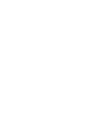 talon logo footer badge